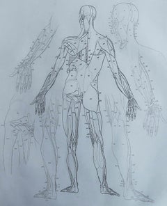 Original Antique Anatomical Print, Dated 1802