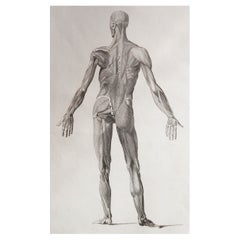 Original Antique Anatomical Print, Dated 1802