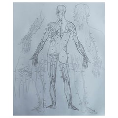 Original Antique Anatomical Print, Dated 1802