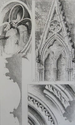 Original Antique Architectural Print by John Ruskin circa 1880 'Salisbury'