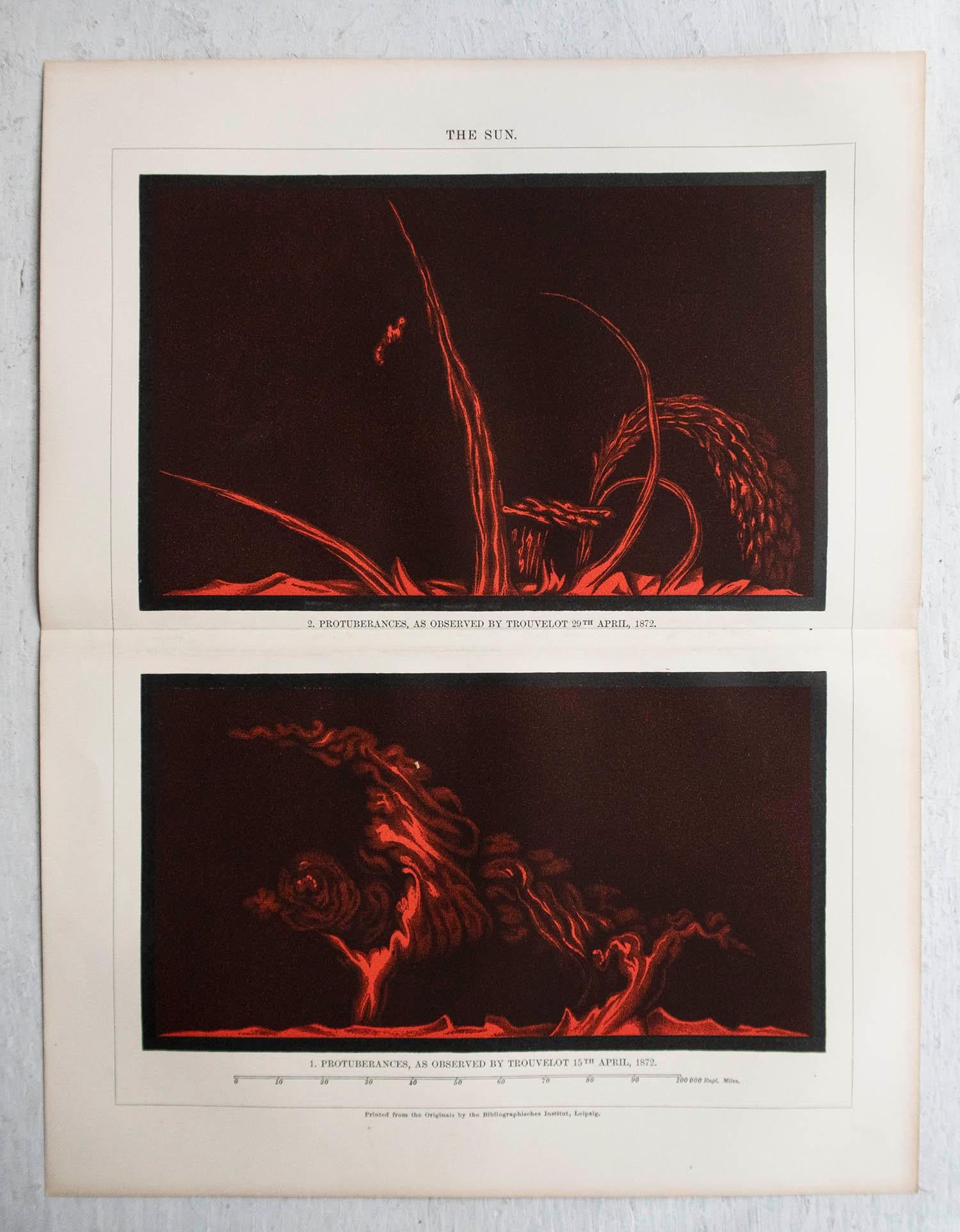 Inglese Stampa astronomica originale antica. C.1900 in vendita