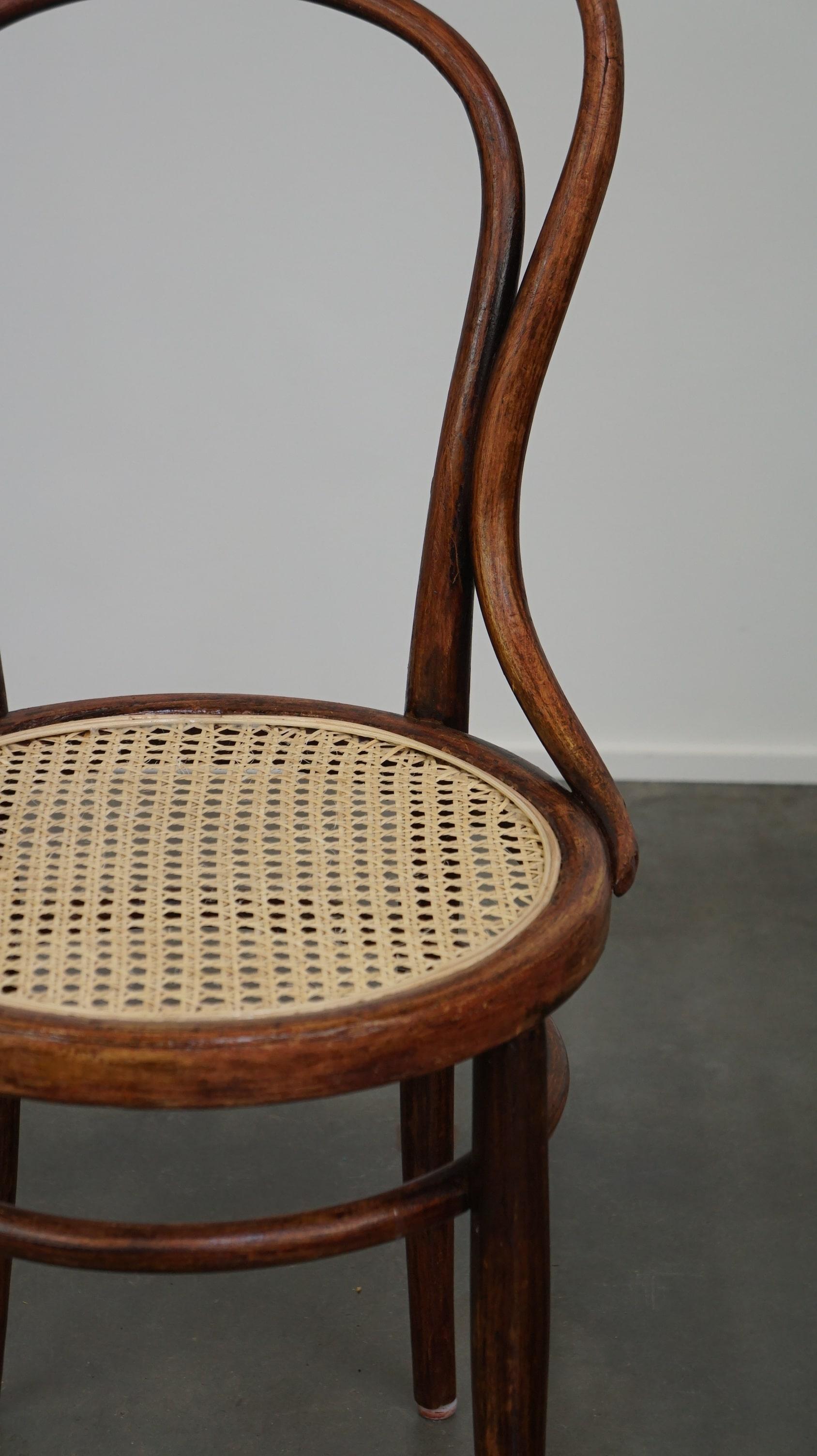 Original antique bentwood Thonet bistro chair model no. 14 with a new matte seat For Sale 5