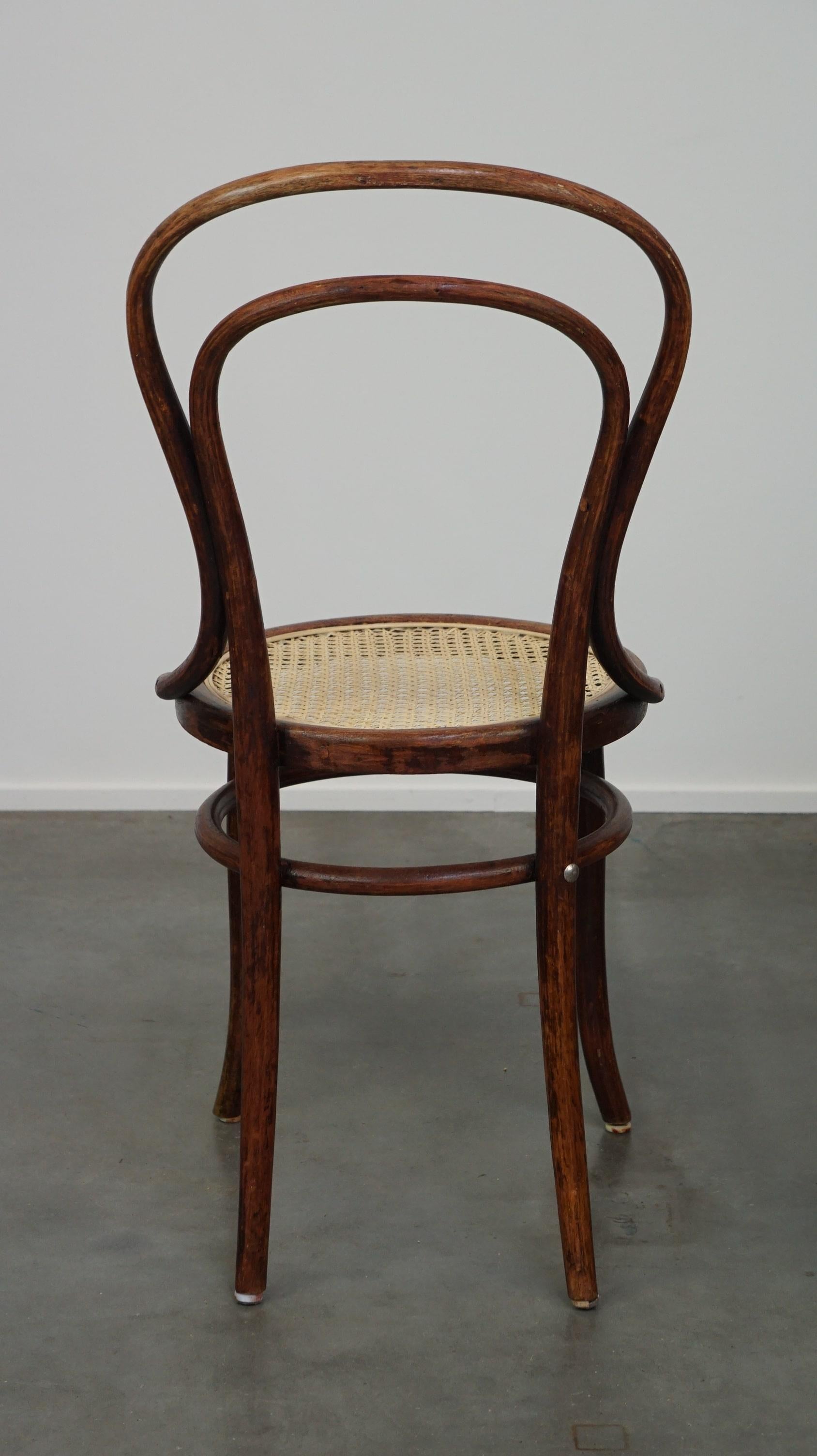 Original antique bentwood Thonet bistro chair model no. 14 with a new matte seat In Good Condition For Sale In Harderwijk, NL