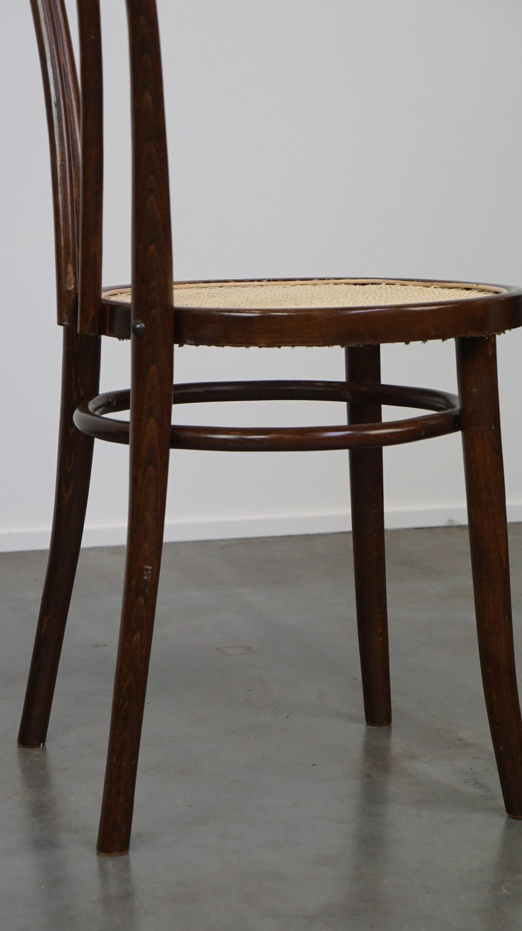 Originaler antiker Thonet-Stuhl aus gebogenem Holz, Modell Nr. 18, mit neuem geflochtenem Sitz im Angebot 6