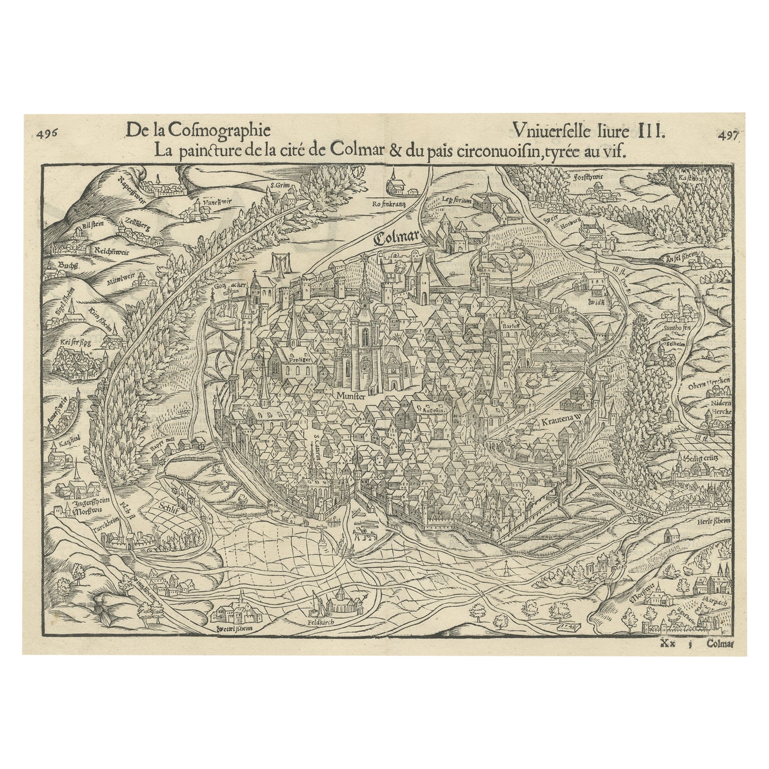 Vista a volo d'uccello originale di Colmar, Alsazia, Francia, 1552