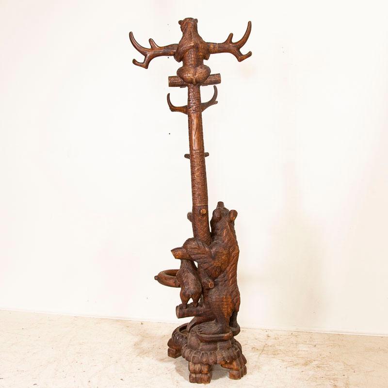 Original black forest carved coat racks have been sought after for generations, making this one a special find. The hand carved details add tremendous texture to the bears' fur, claws and bark on the tree. Look closely at the mother bear and 2 cubs,