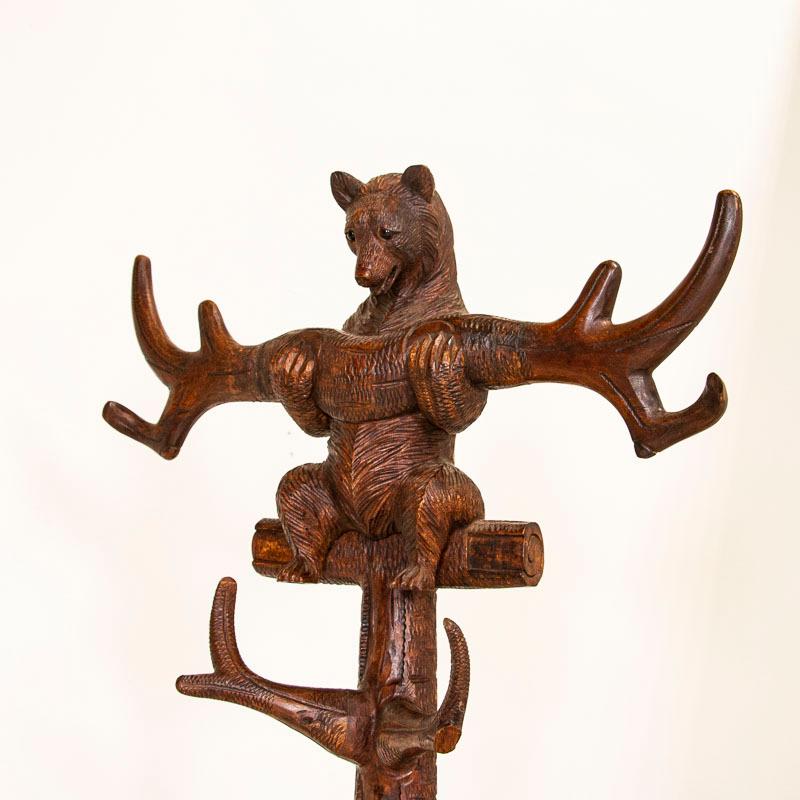 Original Antique Black Forest Carved Coat Stand with Bear and Two Cubs 2