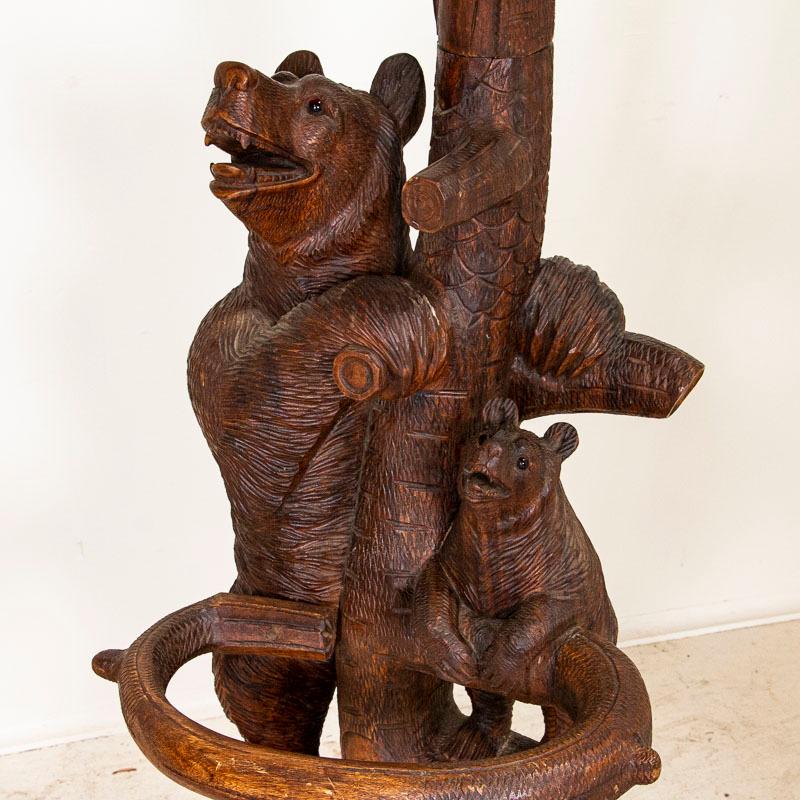Original Antique Black Forest Carved Coat Stand with Bear and Two Cubs 3