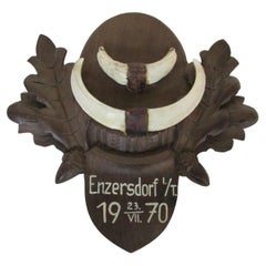 Original Antique Bone Taxidermy 1970