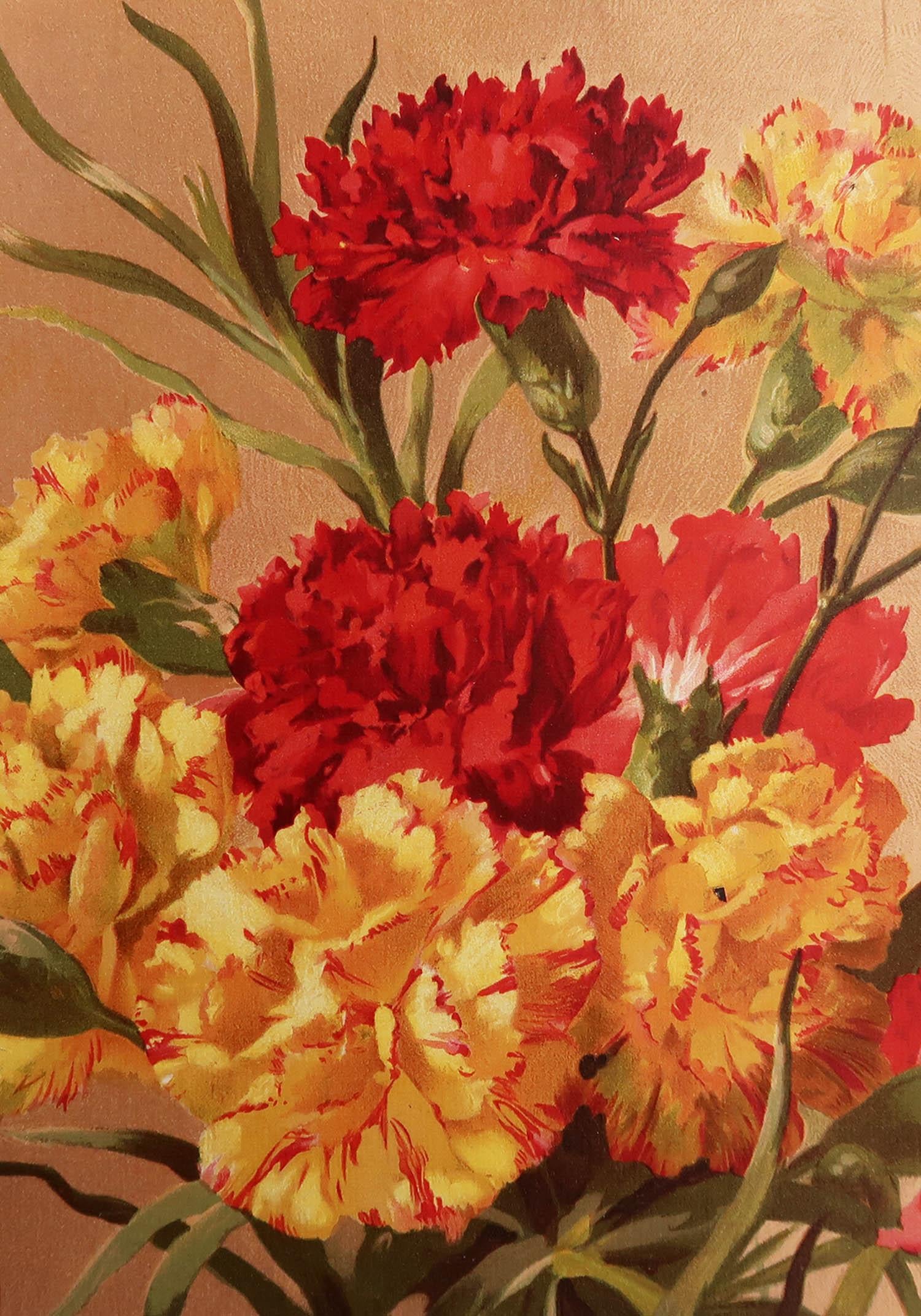 Great image of carnations

Chromo-lithograph

Published by Edward Arnold. circa 1860

Unframed. It gives you the option of perhaps making a set up using your own choice of frames.














.