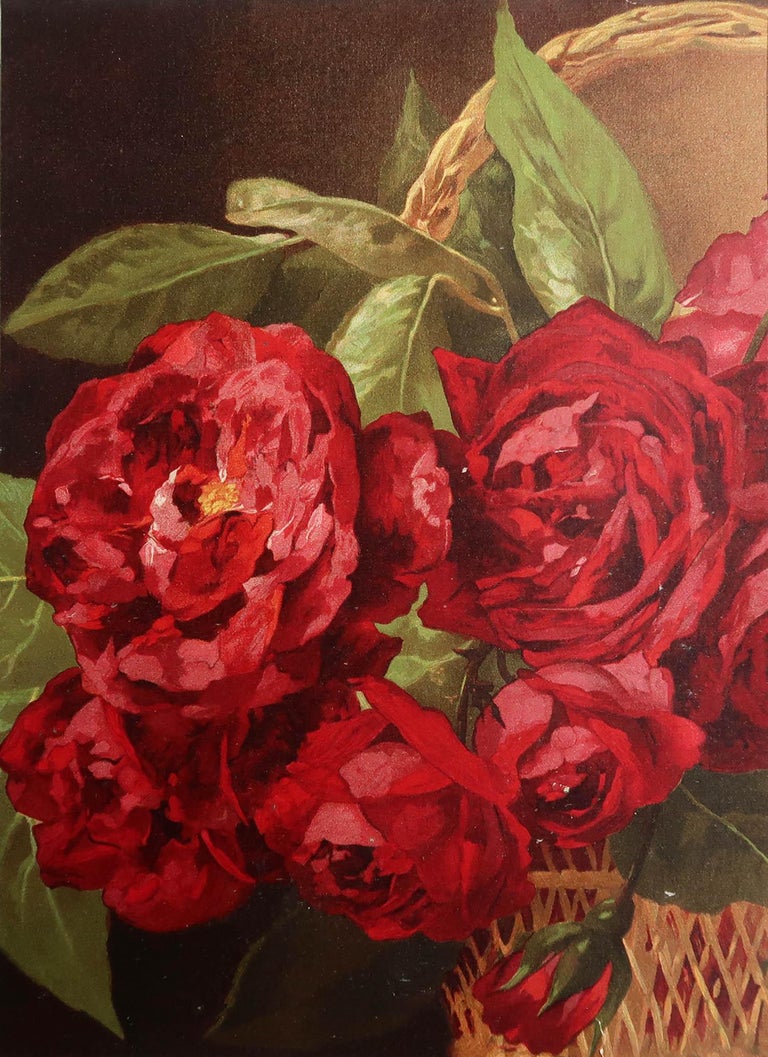 Original Antique Botanical Print Roses, Arnold, circa 1860 For Sale at