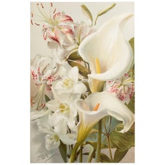 Original Antique Botanical Print - The Lily . C.1900