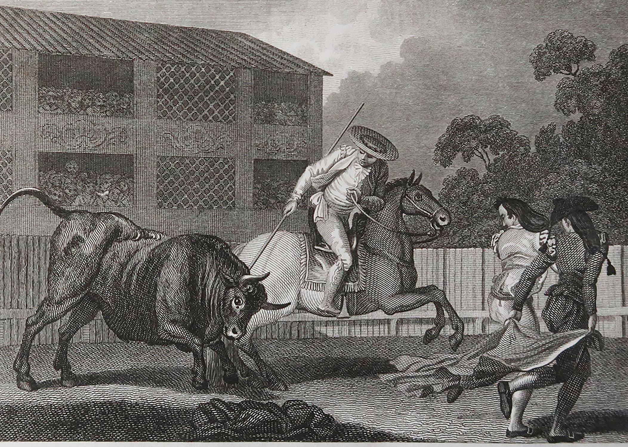 Great image of bullfighting

Copper-plate engraving

Published 1805

Unframed.