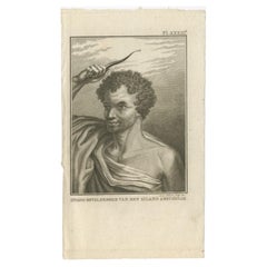 Original Antique Engraving of Otago by Cook, 1803