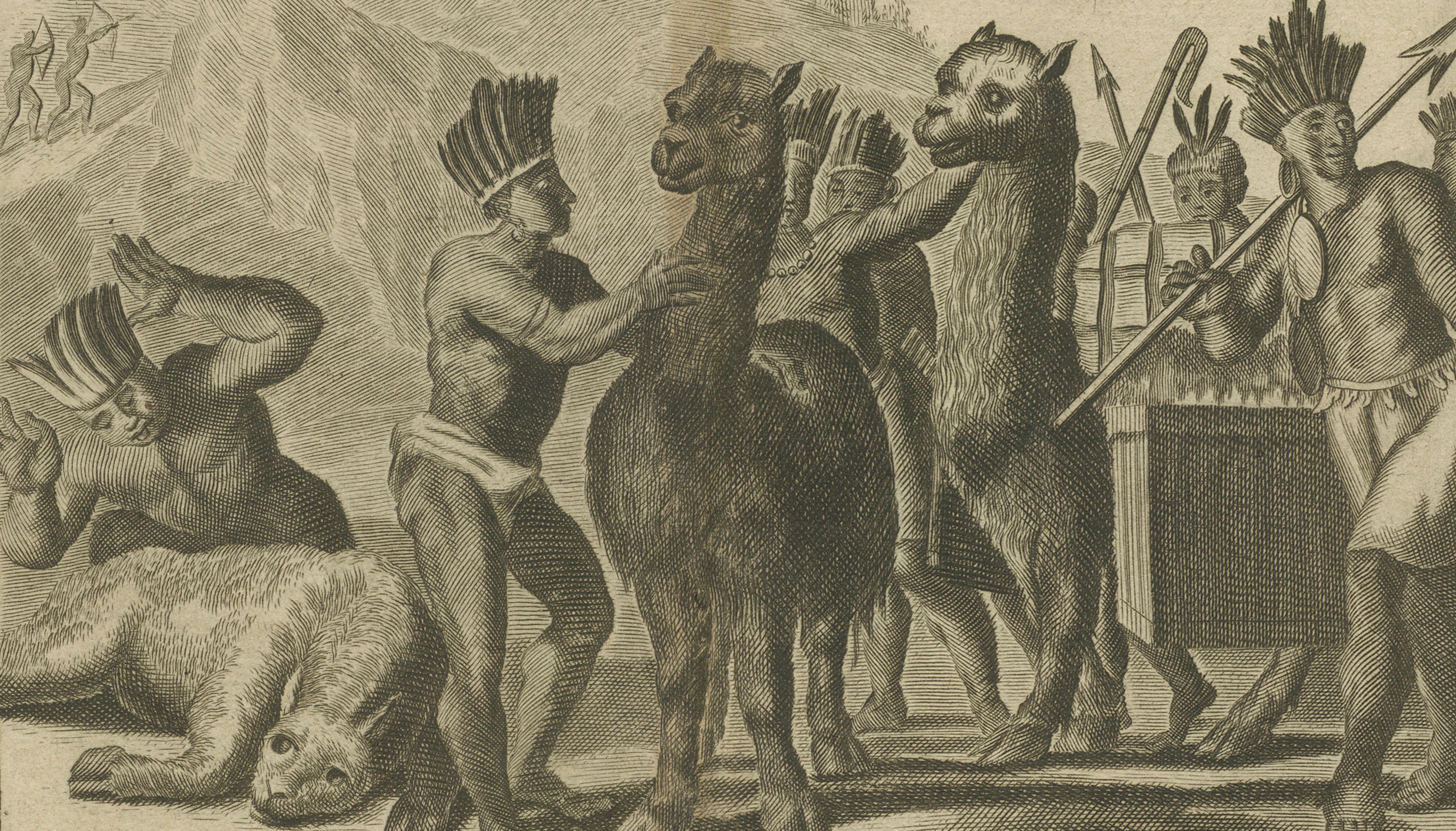 Original Antique Engraving of Peruvian Llamas by Arnoldus Montanus, c.1671