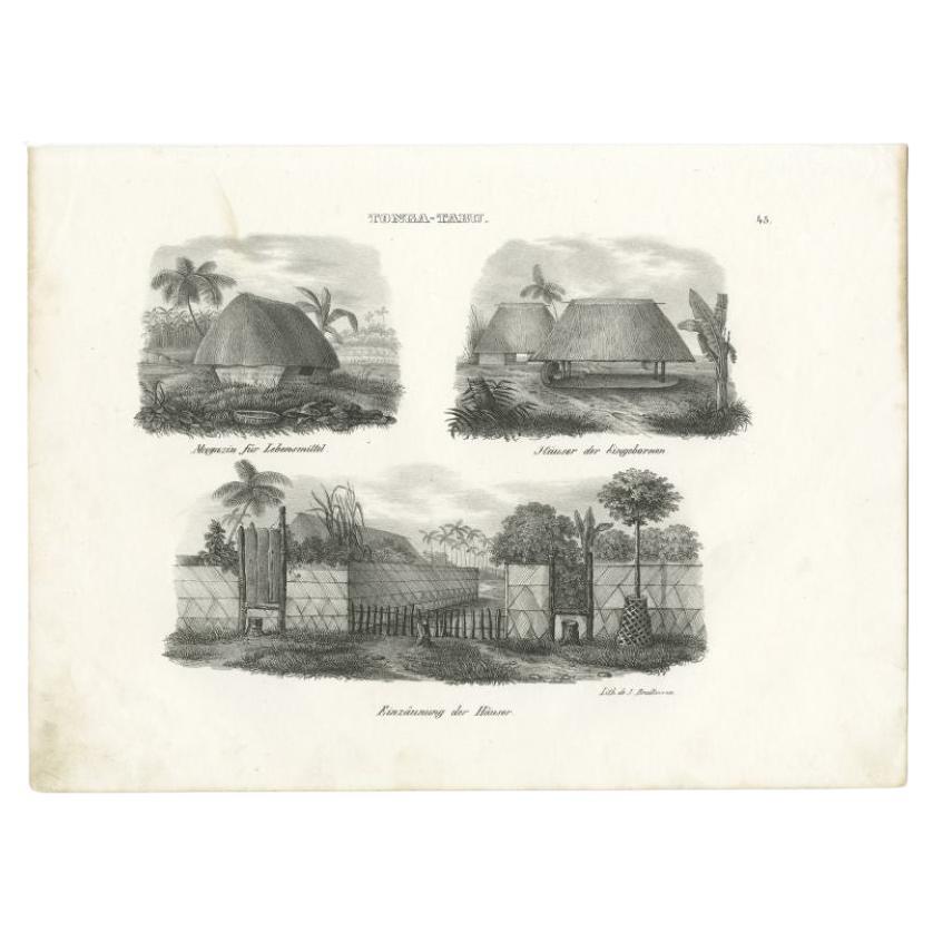 Antique print titled 'Tonga-Tabu'. Old print depicting houses and a warehouse of Tonga Tabu. This print originates from 'Entdeckungs, Reise der Franzosischen Corvette Astrolabe Unternomen auf Befehl Konig Karls X'. These are the German titled views