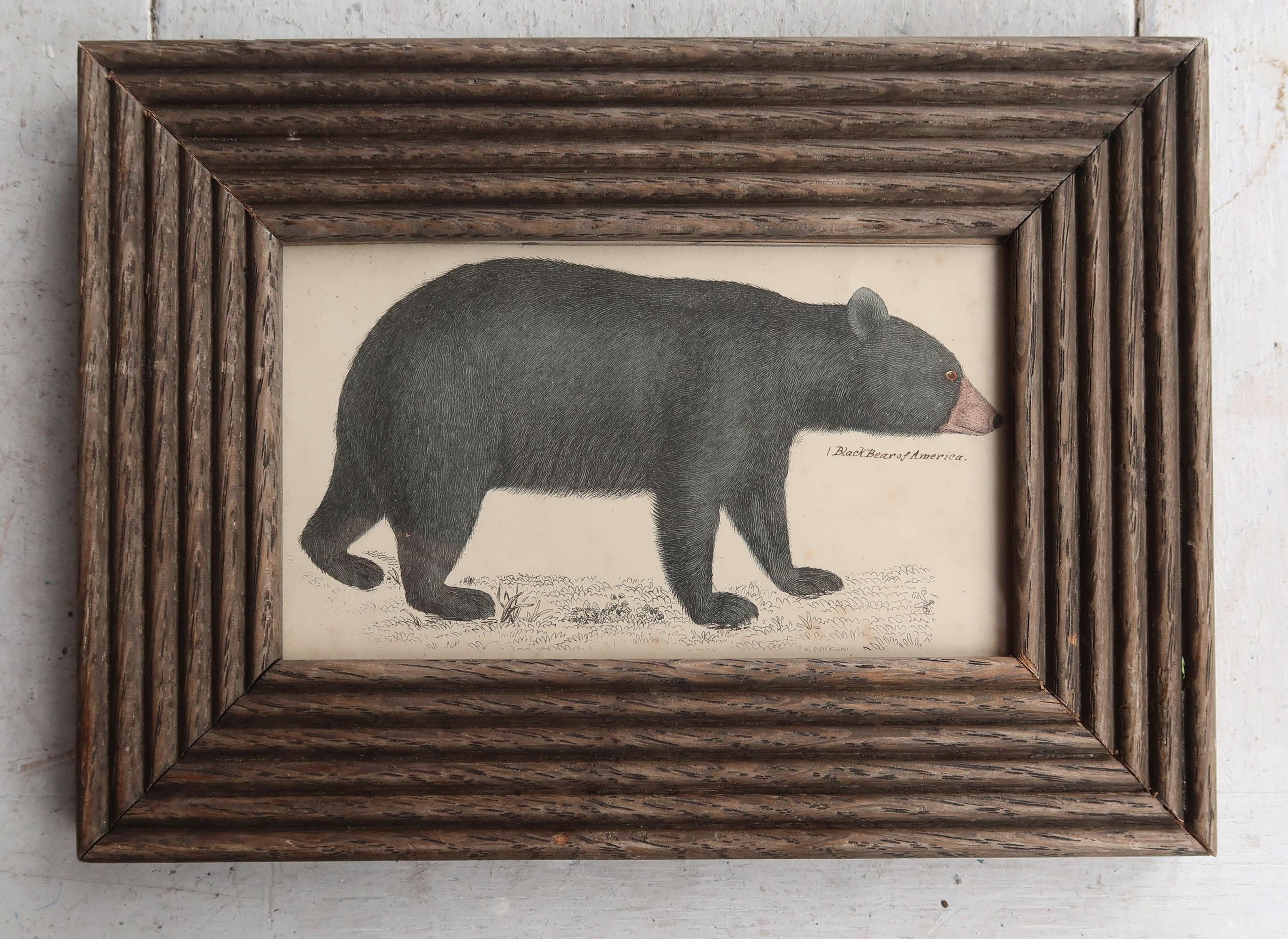 Grande image d'un ours noir présentée dans un cadre en chêne antique

Lithographie d'après le Cpt. Brown avec couleur originale à la main.

Veuillez noter que la zone sombre à droite de l'impression est une ombre.

Publié en 1847.





