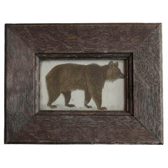 Original Antique Framed Print of a Brown Bear, 1847