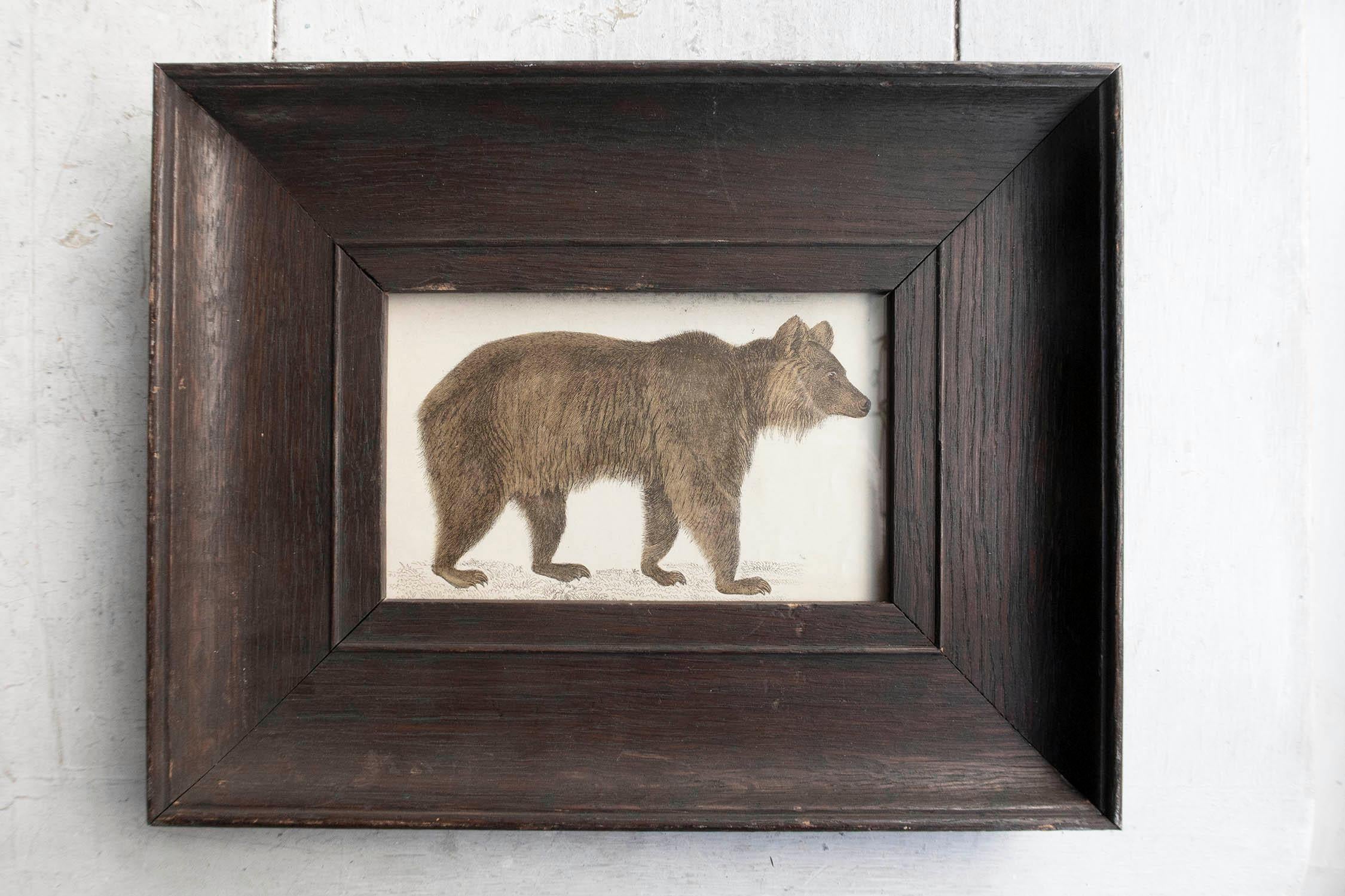 Great image of a brown bear presented in an antique oak frame

Lithograph after Cpt. Brown with original hand color.

Published, 1847.






