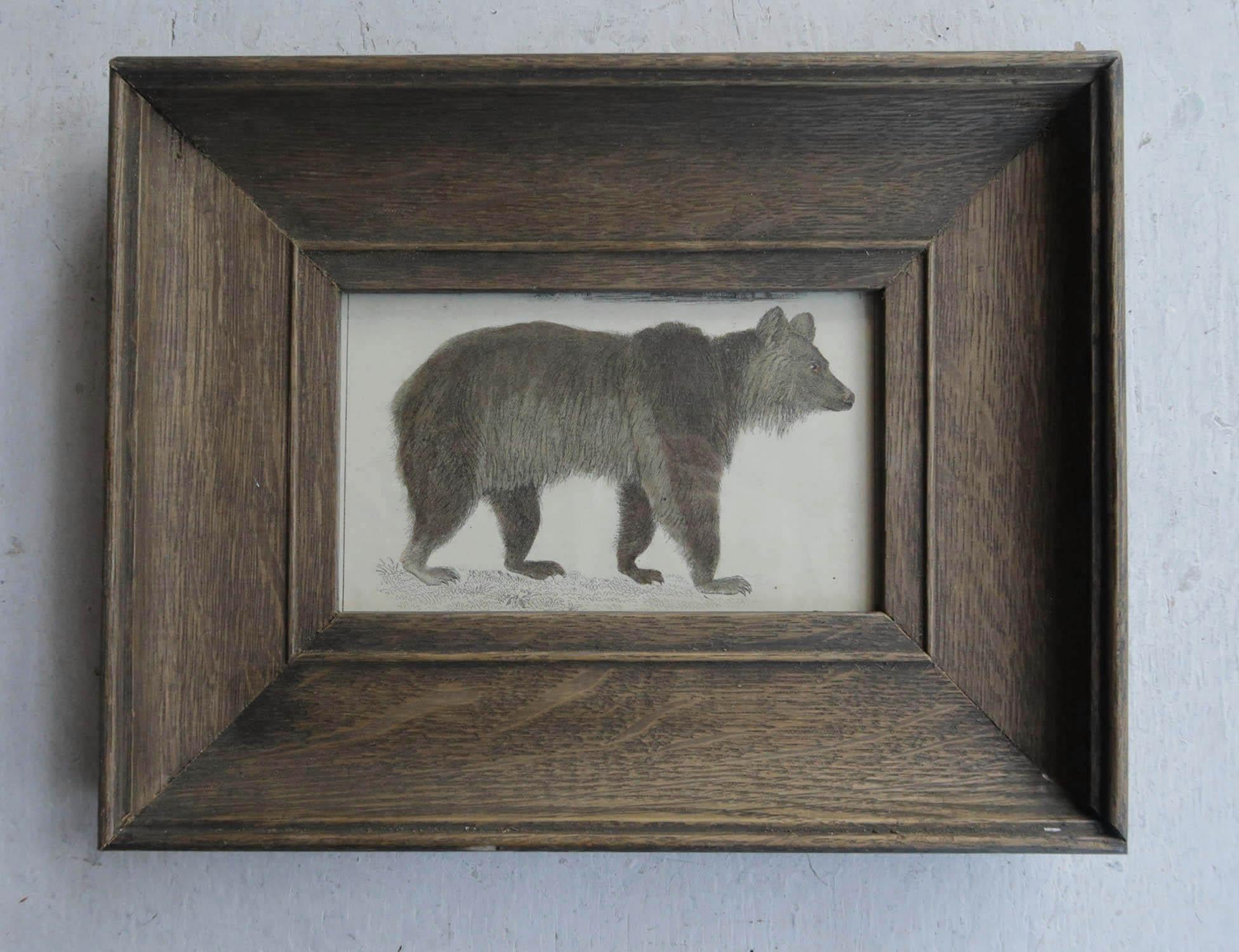 Great image of a brown bear presented in an antique oak frame

Lithograph after Cpt. Brown with original hand color.

Published, 1847.

Free UK shipping






