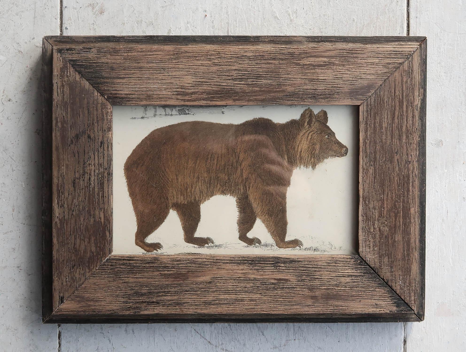 Great image of a brown bear presented in an antique oak frame

Lithograph after Cpt. Brown with original hand color.

Published, 1847.









