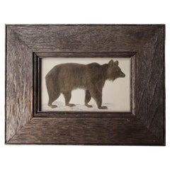 Original Antique Framed Print of a Brown Bear, 1847