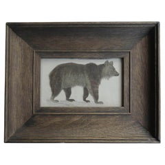 Original Antique Framed Print of a Brown Bear, 1847