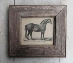 Original Antique Framed Print of a Grey Racehorse, 1847