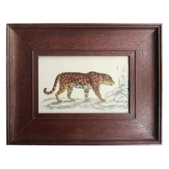Original Antique Framed Print of A Jaguar, 1847
