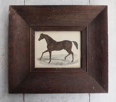 Stampa antica originale con cornice di un cavallo da corsa, 1847