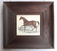 Original Antique Framed Print of a Racehorse, 1847