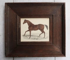 Original Antique Framed Print of a Racehorse, 1847
