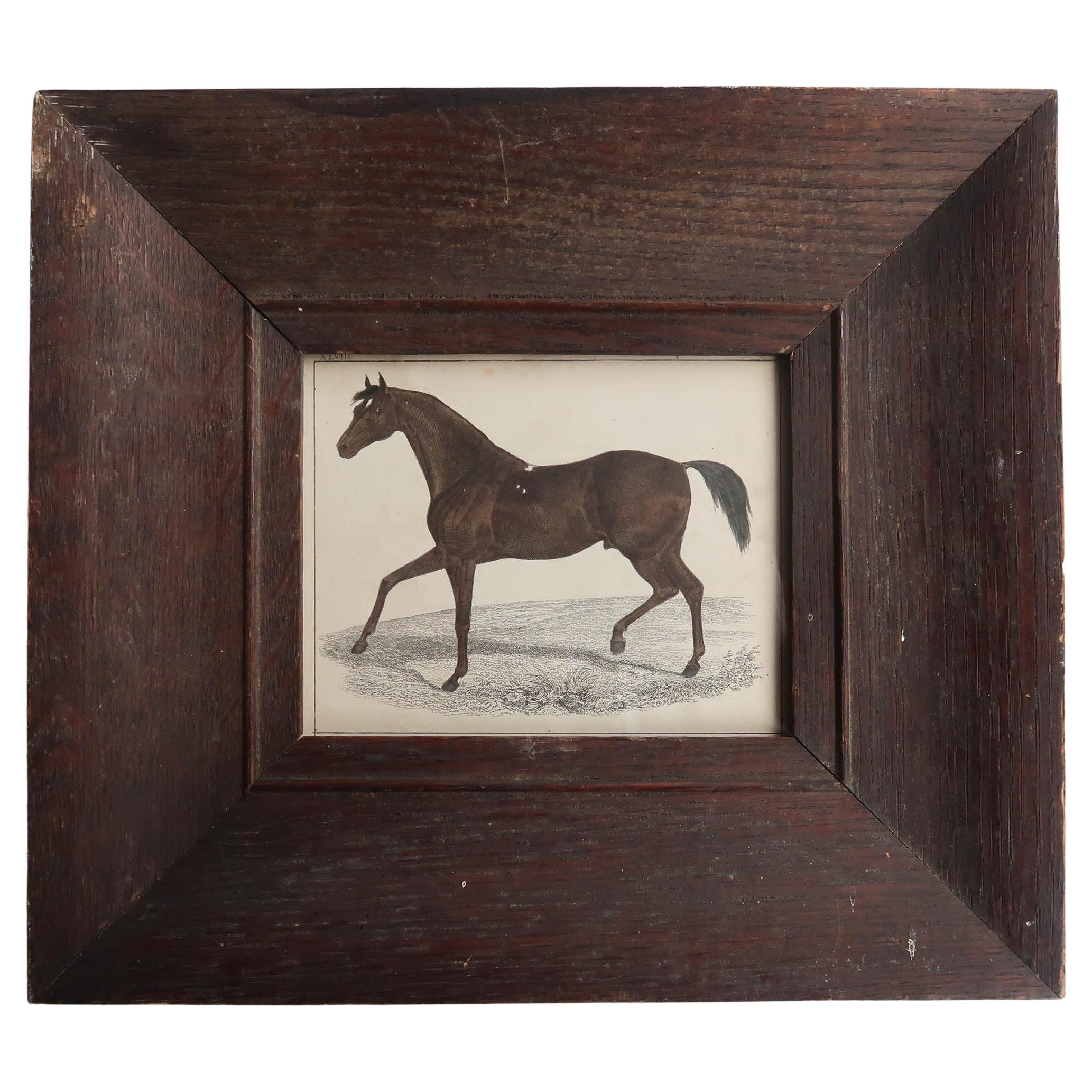 What is the difference between a canvas and a lithograph?