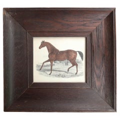 Original Antique Framed Print of a Racehorse, 1847