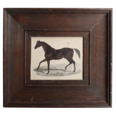 Original Antique Framed Print of a Racehorse, 1847