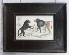 Lámina antigua original enmarcada de babuinos, 1847