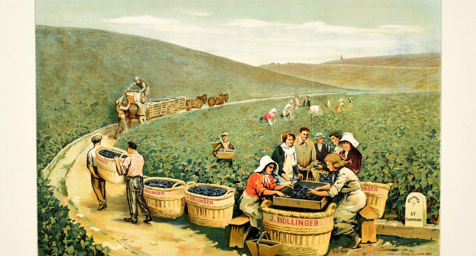 Original antique drink advertising poster featuring a great illustration by Fred Money (1882-1956) of a Bollinger champagne vineyard full of farm workers picking and sorting grapes and loading horse carts with baskets marked J. Bollinger full of