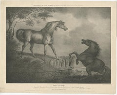 Original Antique Lithograph of a Horse Showing the Passion 'Courage', 1827