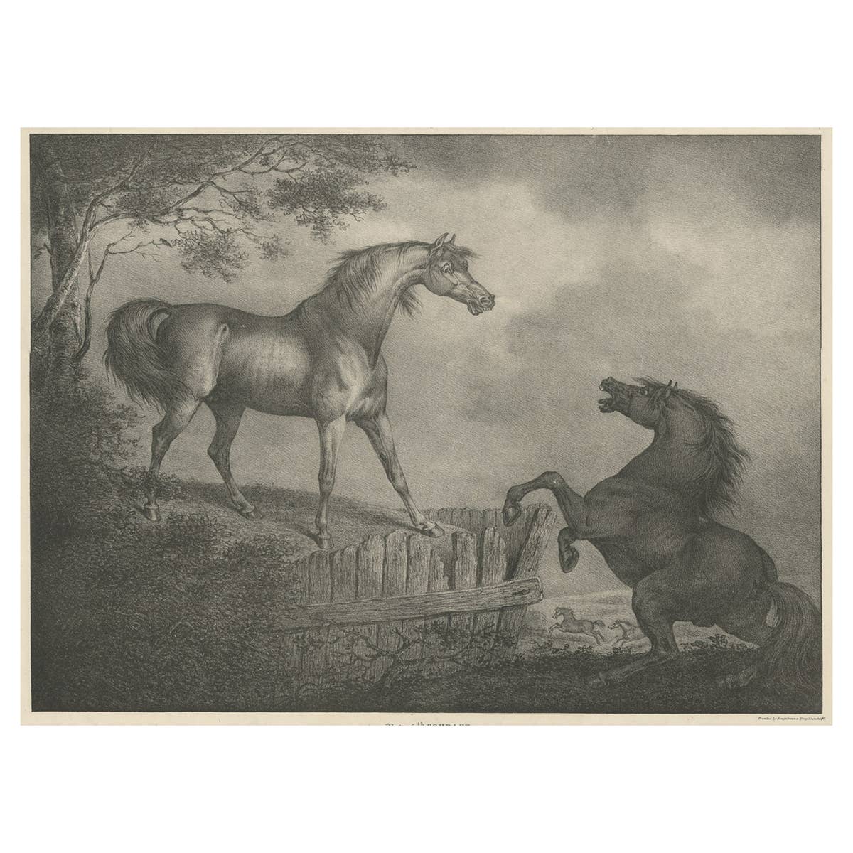 Original Antique Lithograph of a Horse Showing the Passion 'Courage', 1827