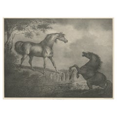 Litografía original antigua de un caballo que muestra la pasión "Coraje", 1827