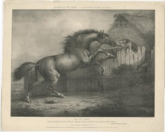 Original Antique Lithograph of a Horse Showing the Passion 'Love', 1827