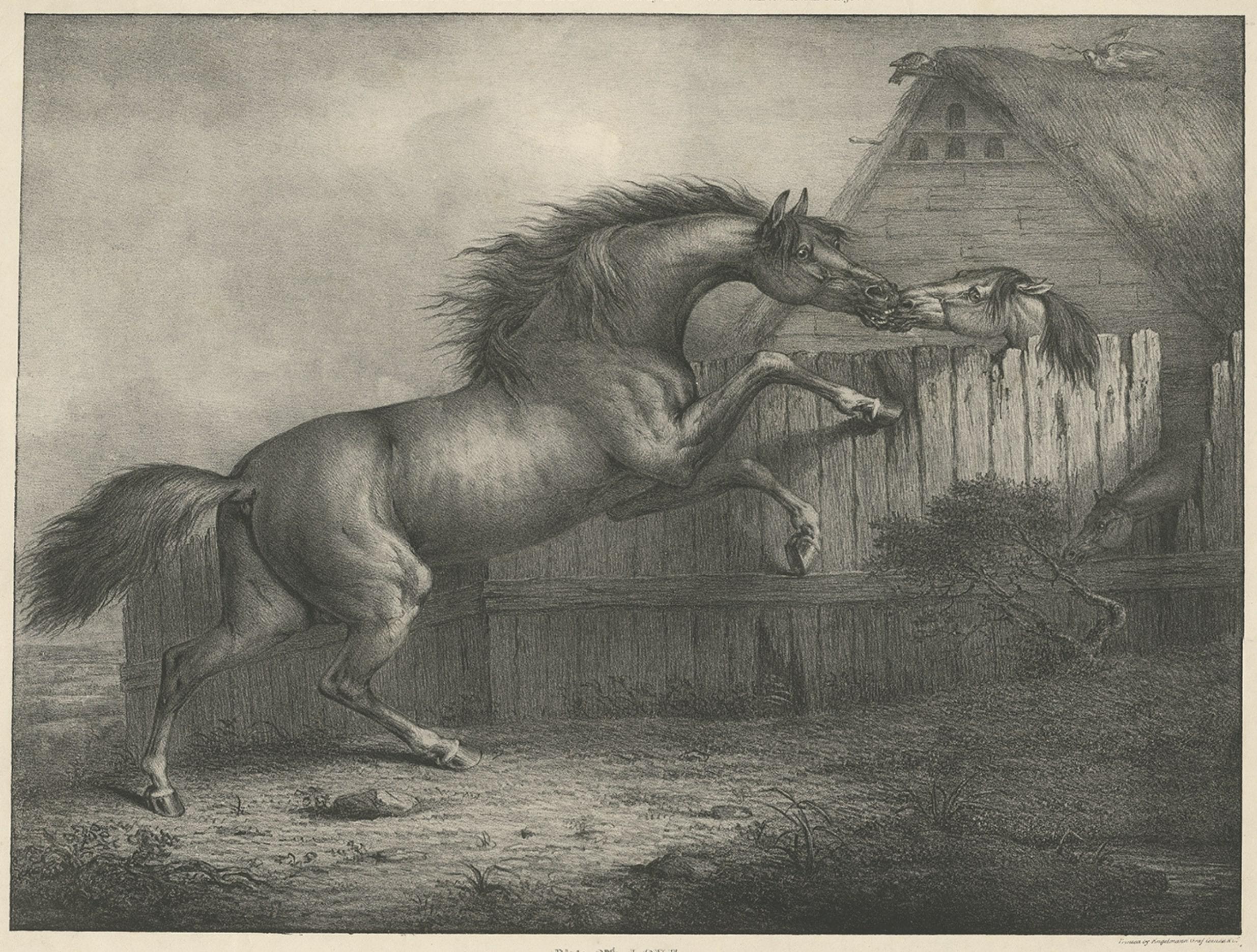 Original Antique Lithograph of a Horse Showing the Passion 'Love', 1827 In Good Condition For Sale In Langweer, NL