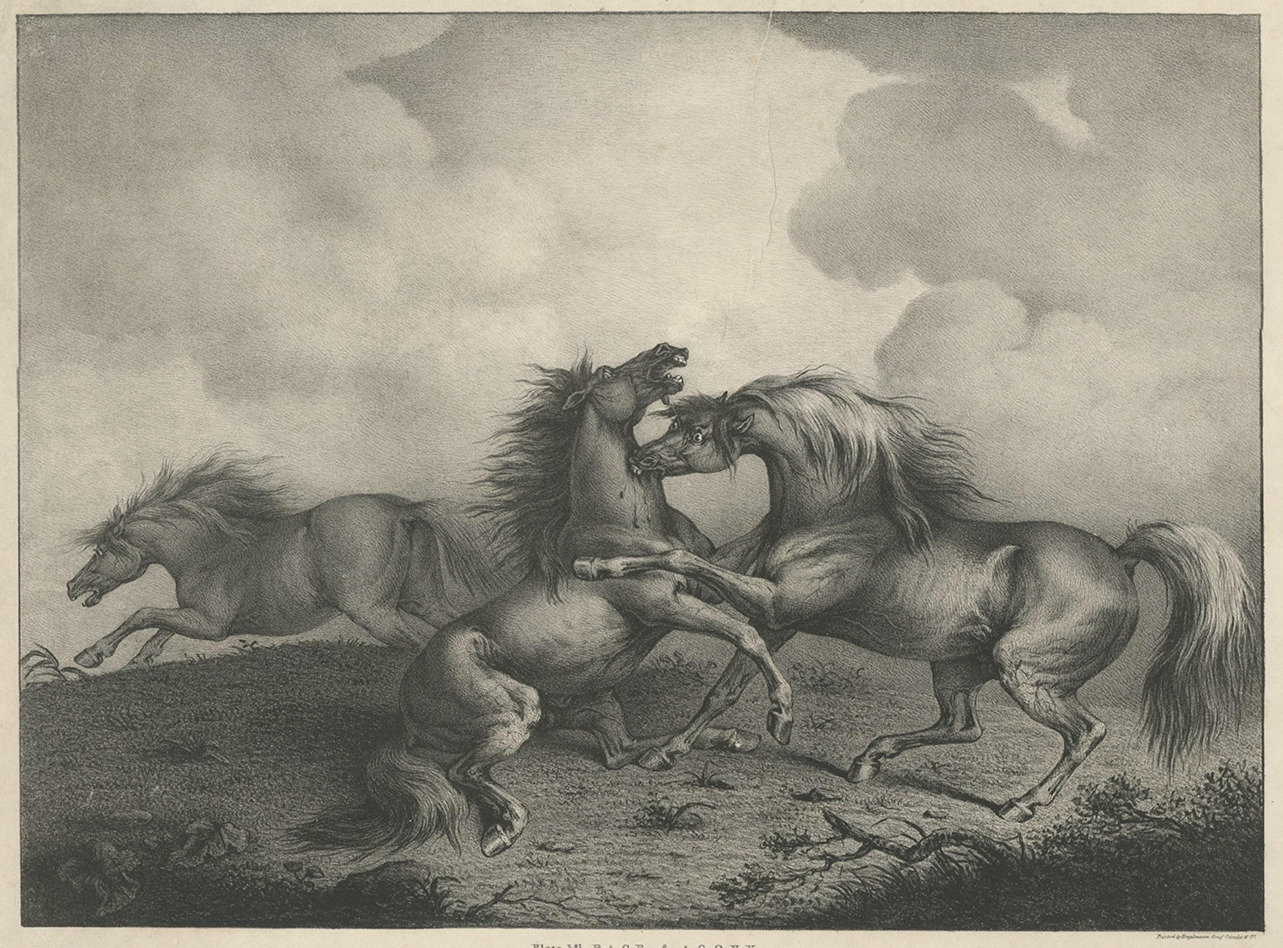 Antique horse print titled 'Plate 1st Rage & Agony, dedicated by permission to his most Gracious Majesty George the Fourth (..)'. 

Artists and Engravers: In 1827, British artist Henry Barnard Chalon (1770-1849), designed and lithographed a