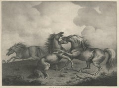 Original Antique Lithograph of a Horse Showing the Passion 'Rage & Agony', 1827