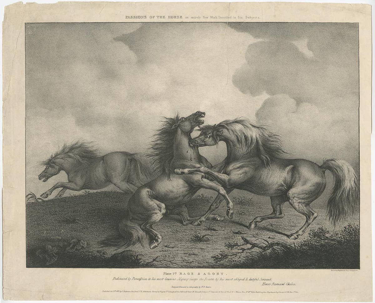 Original Antique Lithograph of a Horse Showing the Passion 'Rage & Agony', 1827