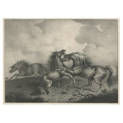 Original Antike Lithographie eines Pferdes, das die Leidenschaft zeigt, „Rage & Agony“, 1827