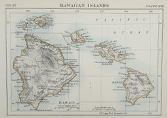 Original Antique Map of Hawaii and Hispaniola, 1889