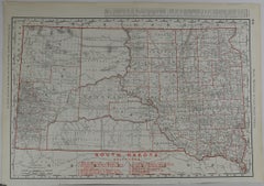 Original Antique Map of South Dakota by Rand McNally, circa 1900