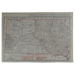 Original Antique Map of South Dakota by Rand McNally, circa 1900