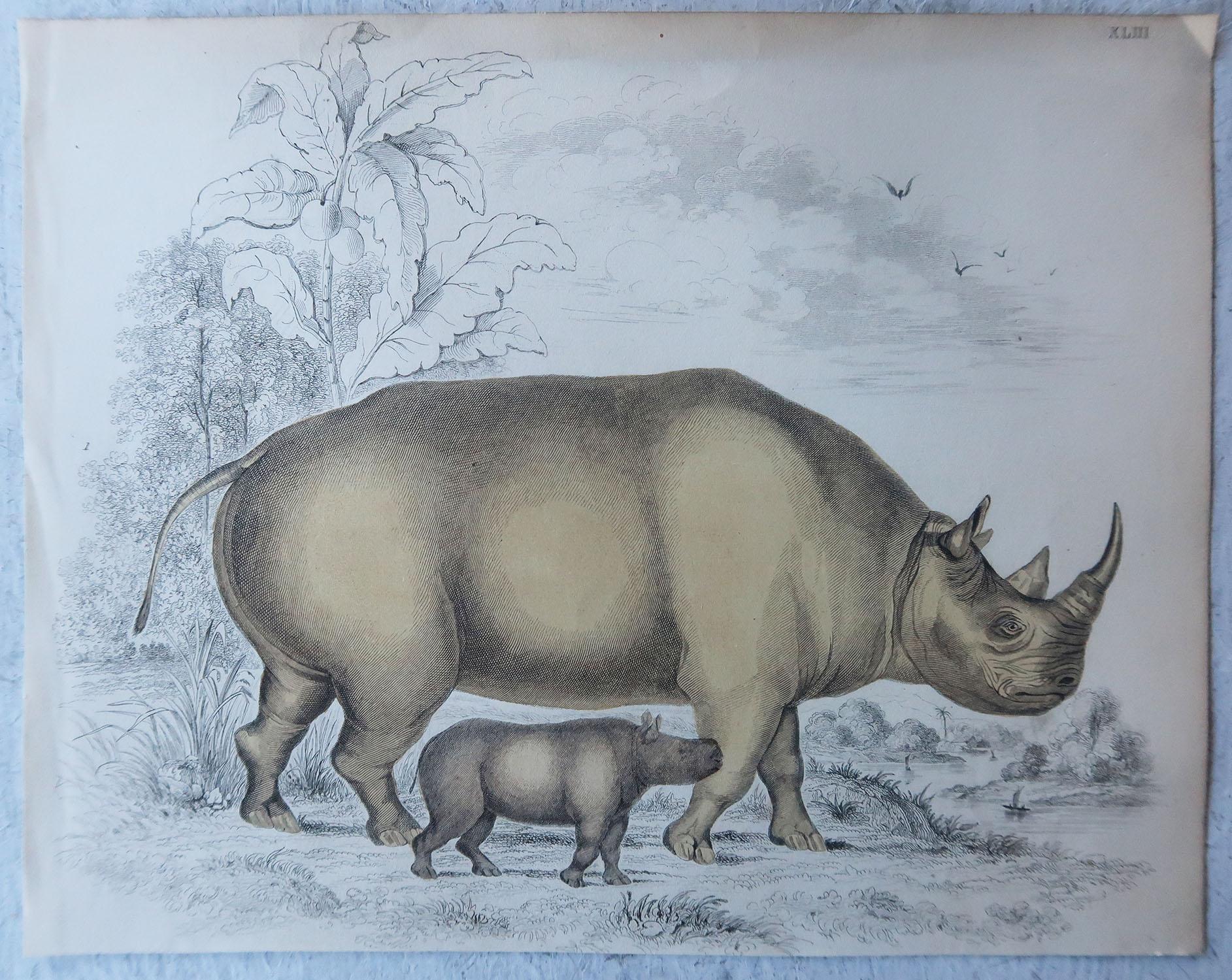 Folk Art Original Antique Natural History Print, Rhinoceros, circa 1835
